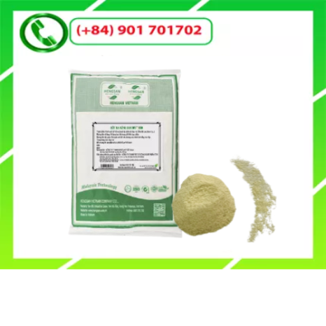 Potato Powder 